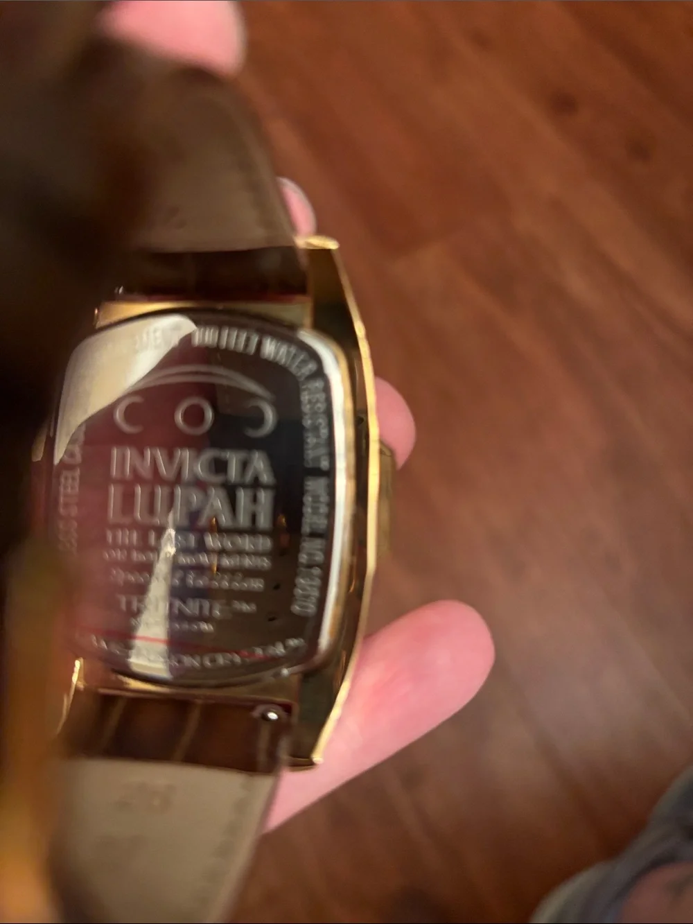 Invicta Mens Gold-Tone Case with Brown Leather Strap Watch
